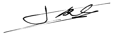 Damien Thiesson Signature